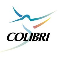 Automação sistema Colibri